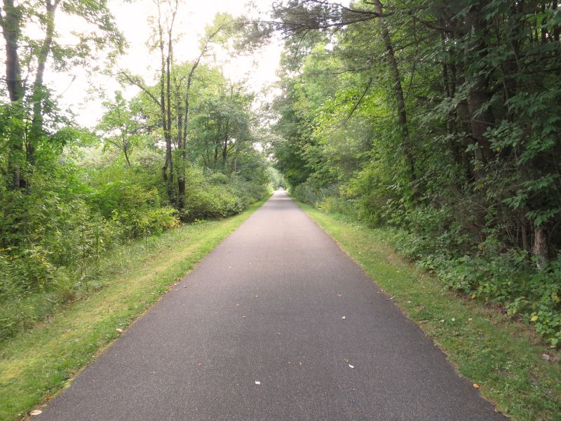 Road Paving Service